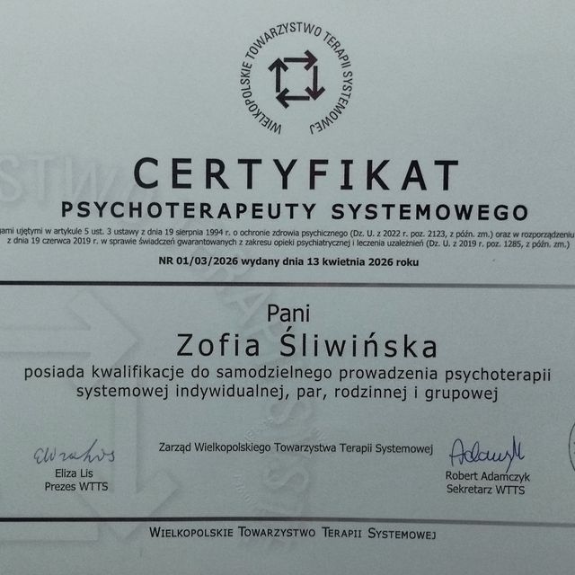 Powiększ obraz: certificate 2