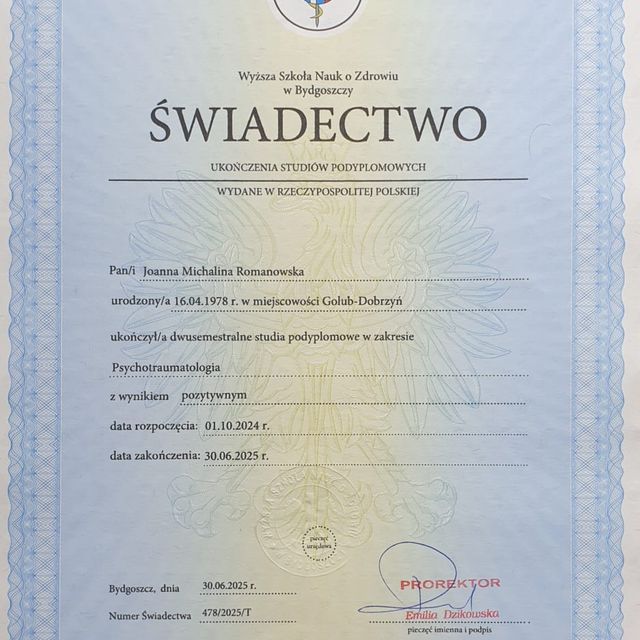Powiększ obraz: certificate 11