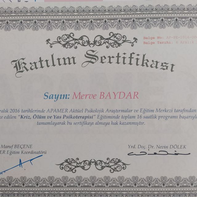 Resmi büyüt: certificate 5