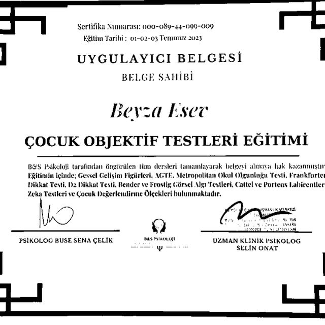 Resmi büyüt: certificate 9