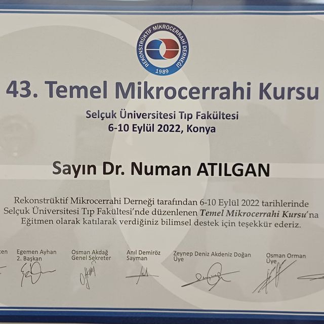 Resmi büyüt: certificate 11