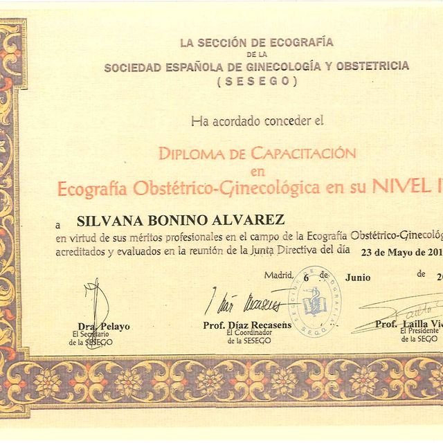 Acercar imagen: certificate 2