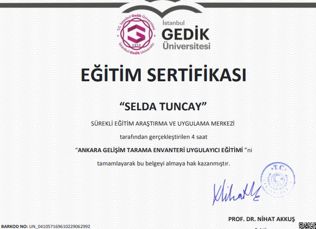 Resmi büyüt: certificate 17