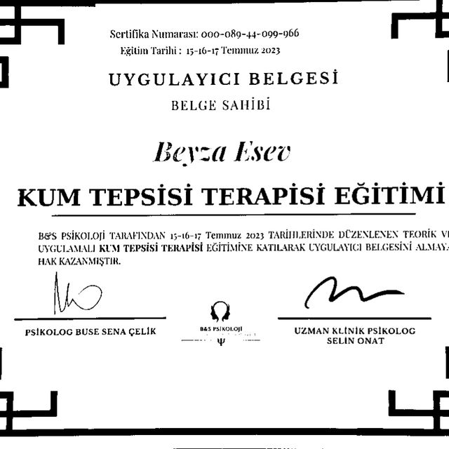 Resmi büyüt: certificate 7