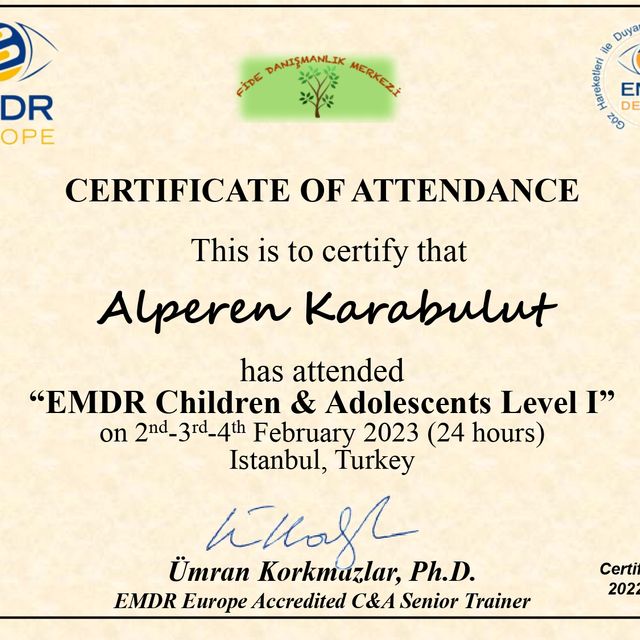 Resmi büyüt: certificate 1