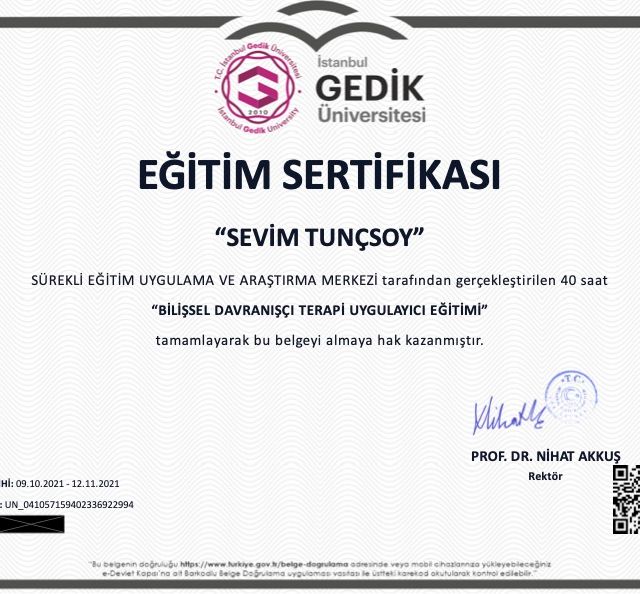 Resmi büyüt: certificate 3