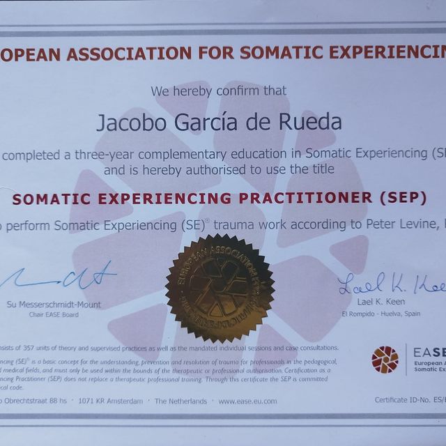 Acercar imagen: certificate 16