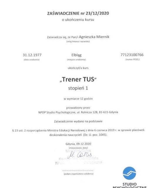 Powiększ obraz: certificate 7