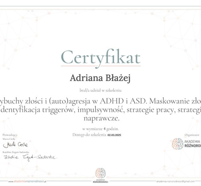 Powiększ obraz: certificate 4