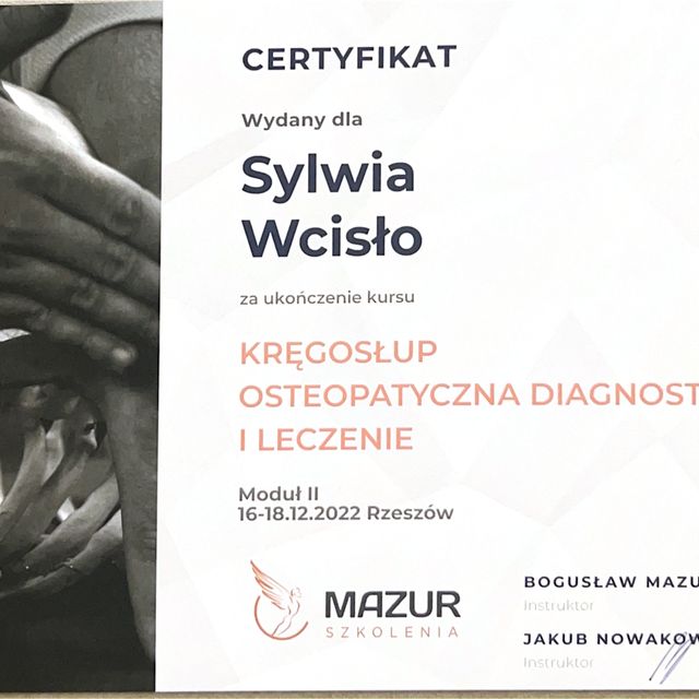 Powiększ obraz: certificate 8