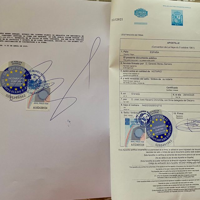 Acercar imagen: certificate 13