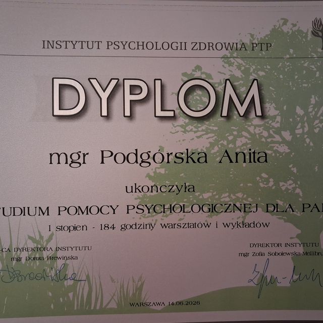 Powiększ obraz: certificate 1