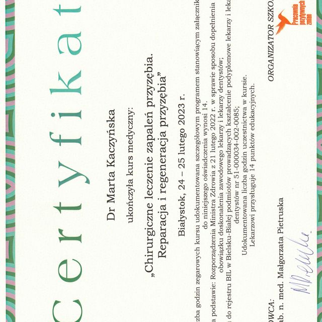 Powiększ obraz: certificate 1