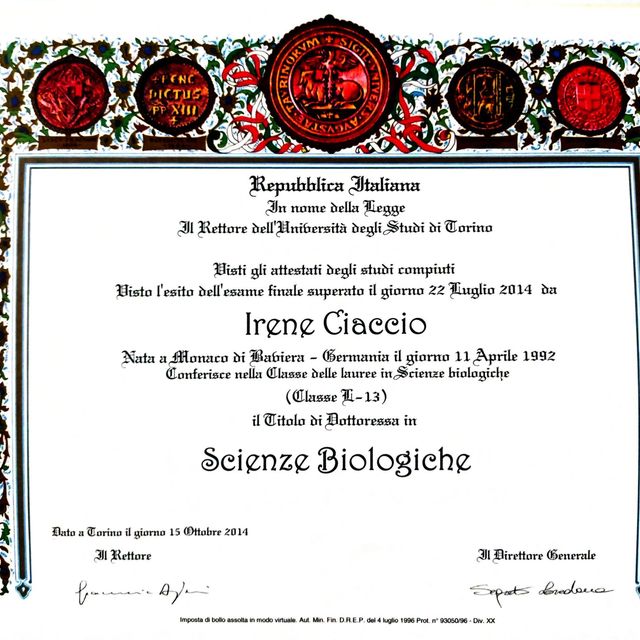 Ingrandire l'immagine: certificate 2