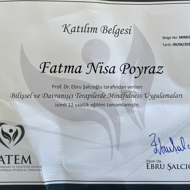 Resmi büyüt: certificate 2