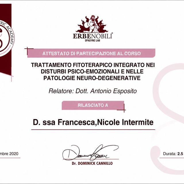 Ingrandire l'immagine: certificate 41