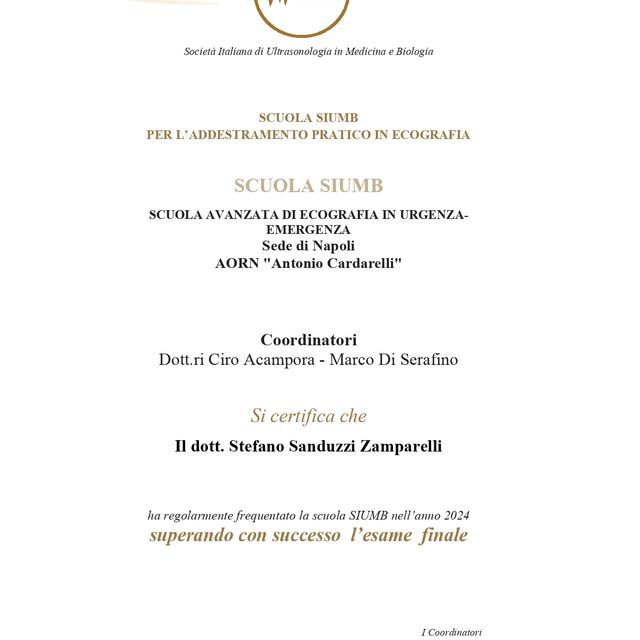 Ingrandire l'immagine: certificate 3