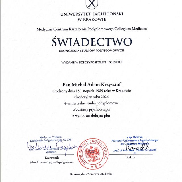 Powiększ obraz: certificate 1