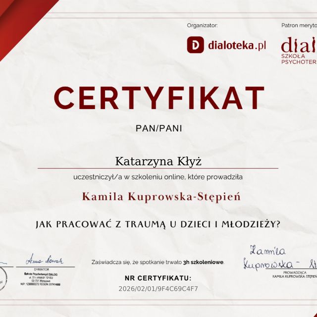 Powiększ obraz: certificate 8