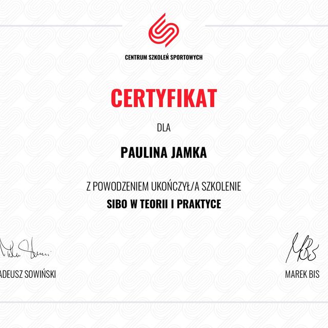 Powiększ obraz: certificate 2