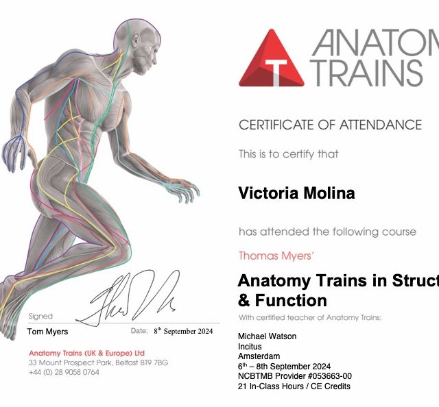 Acercar imagen: certificate 3