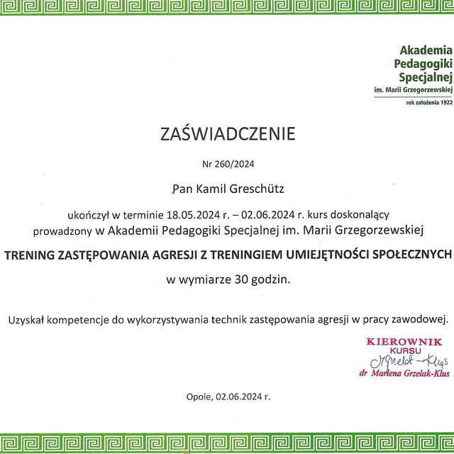 Powiększ obraz: certificate 4