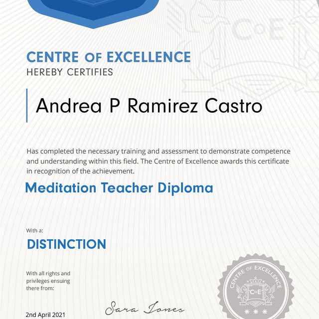 Acercar imagen: certificate 16