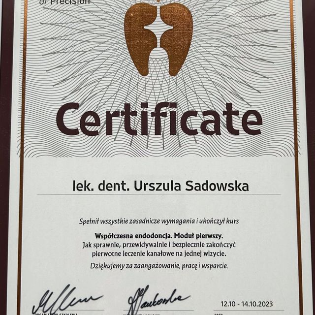 Powiększ obraz: certificate 2