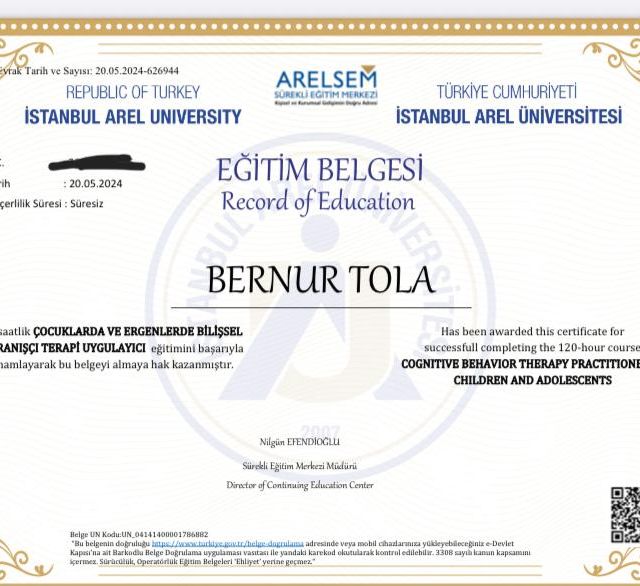 Resmi büyüt: certificate 3