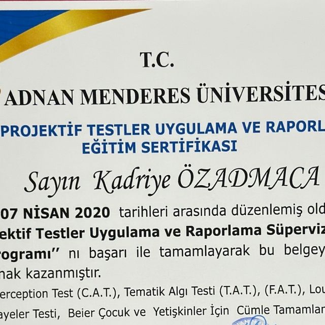 Resmi büyüt: certificate 58