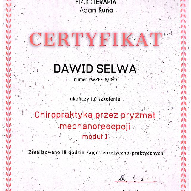 Powiększ obraz: certificate 6