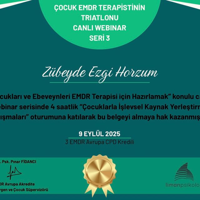 Resmi büyüt: certificate 4