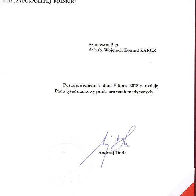 Powiększ obraz: certificate 9