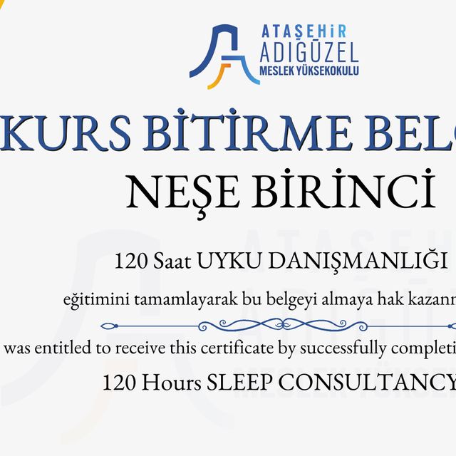 Resmi büyüt: certificate 1