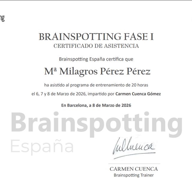 Acercar imagen: certificate 8