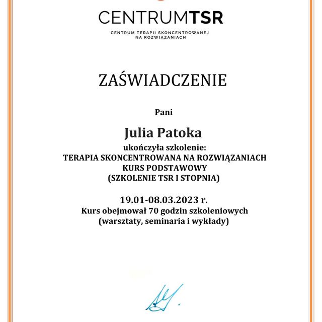 Powiększ obraz: certificate 2