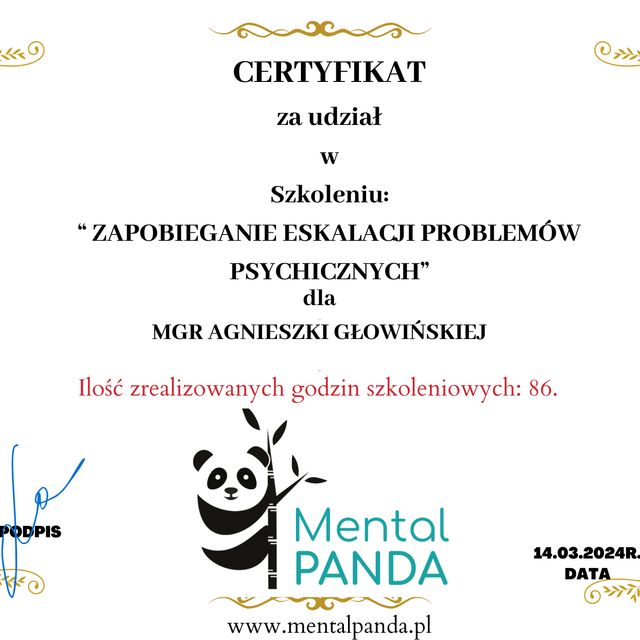 Powiększ obraz: certificate 1