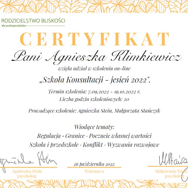 Powiększ obraz: certificate 8