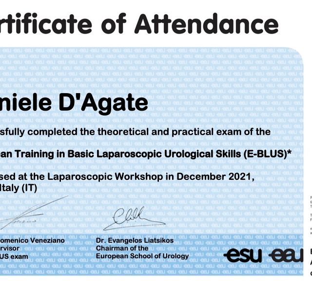 Ingrandire l'immagine: certificate 2