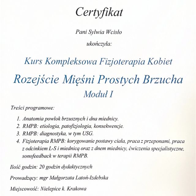 Powiększ obraz: certificate 11