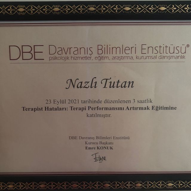 Resmi büyüt: certificate 17