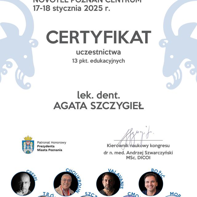 Powiększ obraz: certificate 13
