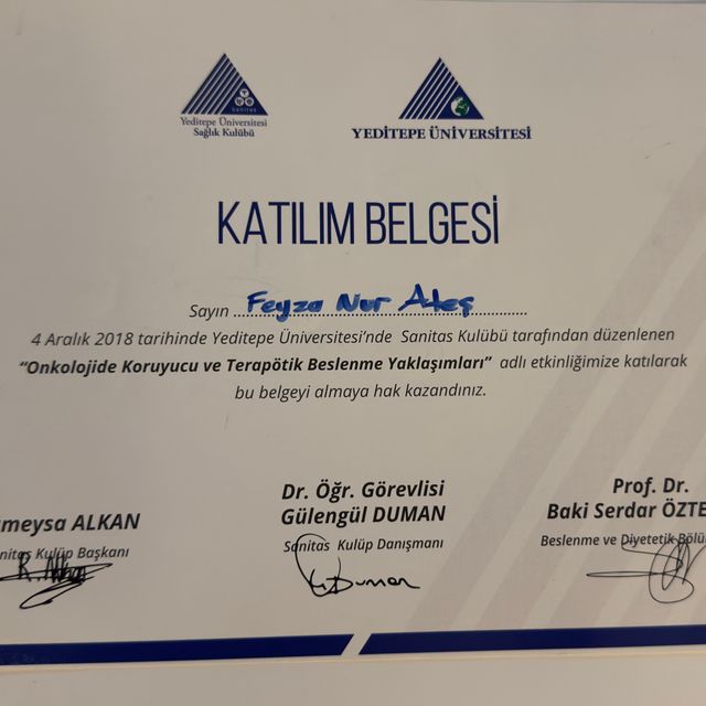 Resmi büyüt: certificate 2