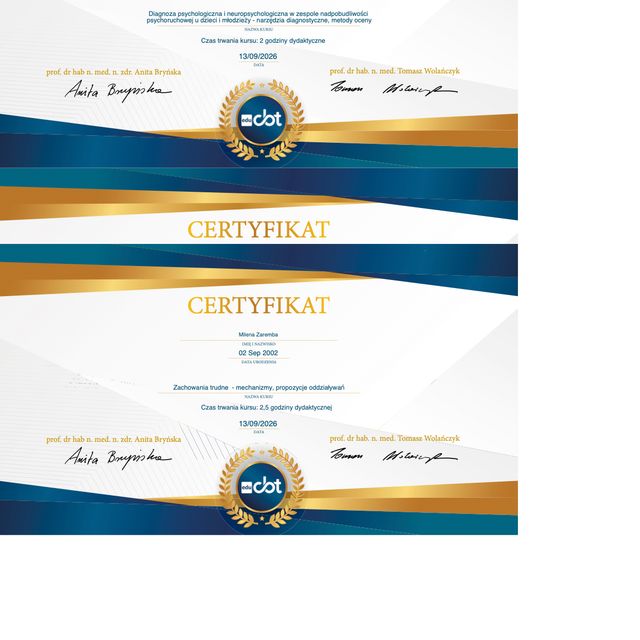 Powiększ obraz: certificate 2