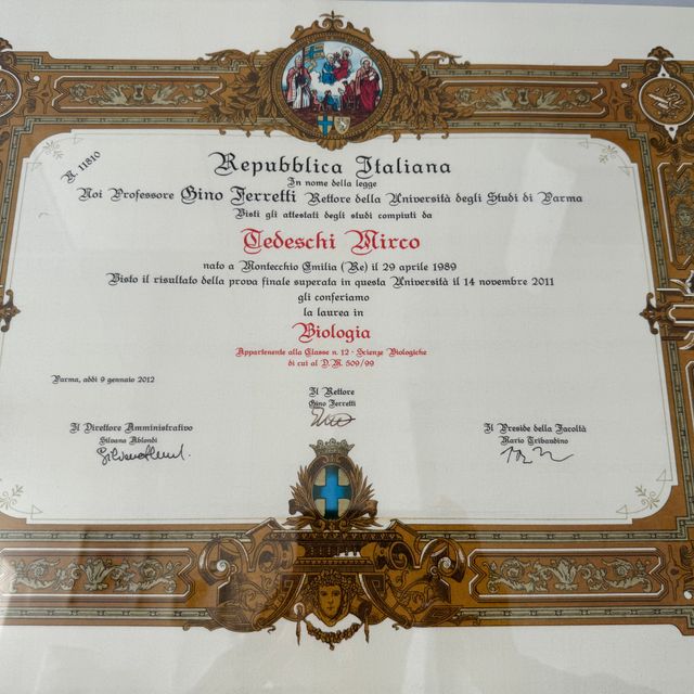 Ingrandire l'immagine: certificate 2