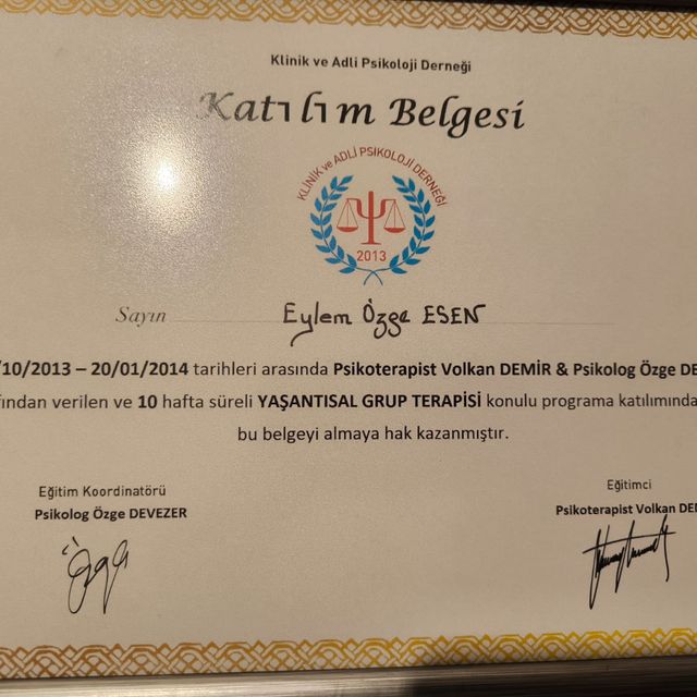 Resmi büyüt: certificate 8
