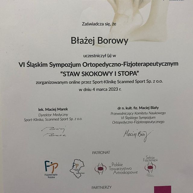 Powiększ obraz: certificate 11