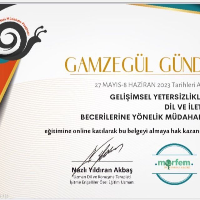 Resmi büyüt: certificate 9