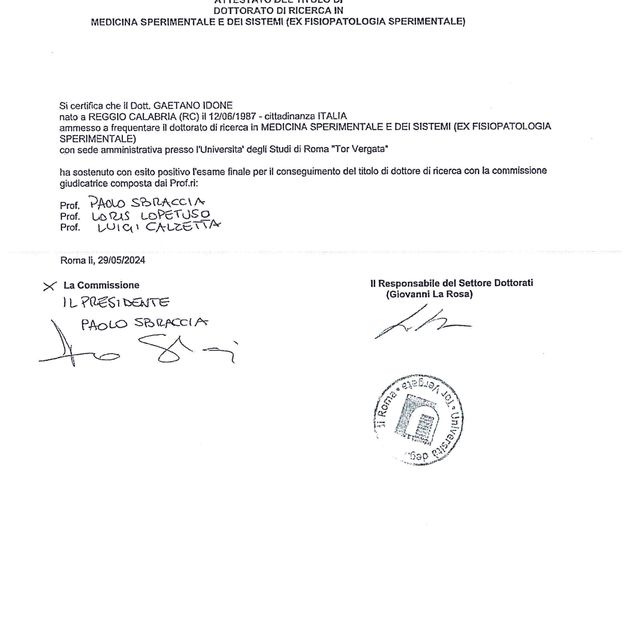 Ingrandire l'immagine: certificate 2