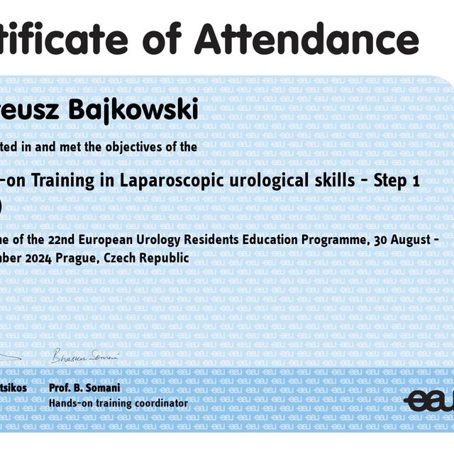 Powiększ obraz: certificate 4